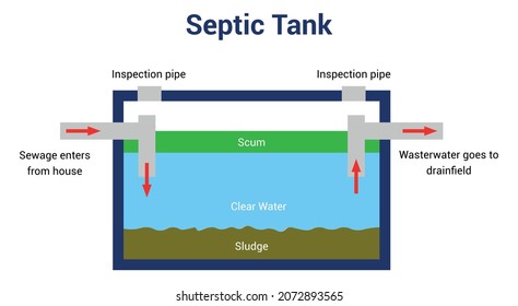 septic tank diagram vector illustration