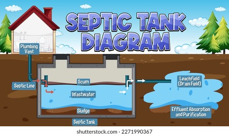 Septic tank system diagram illustration