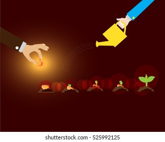 Sequence of bean seeds germination vector illustration