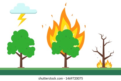 sequence of fire in the forest. the natural nature of fire. flat vector illustration.
