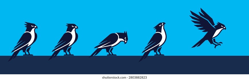 A sequence of five stylized birds in profile, depicted in dark blue and white against a bright blue background. The birds show a progression from standing still to taking flight.