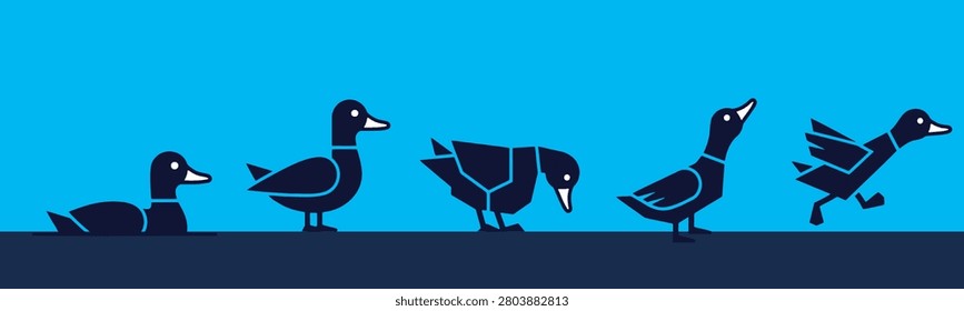 A sequence of five stylized black ducks against a bright blue background, illustrating different movements from swimming to running.