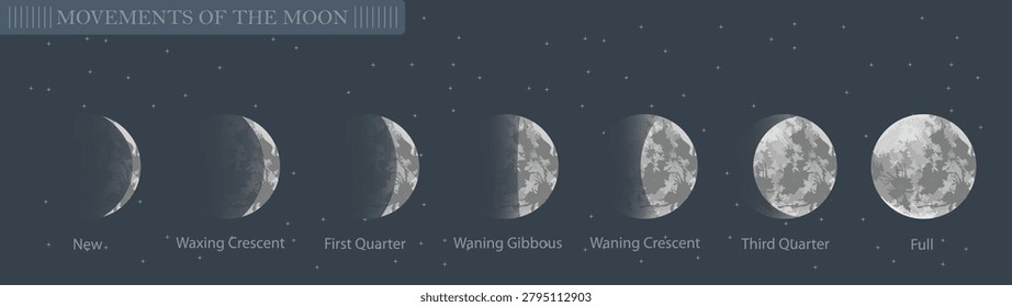 A sequence of lunar phases showing the moon from a thin crescent to full moon against dark star filled night sky with lunar cycle milky way astronomy.