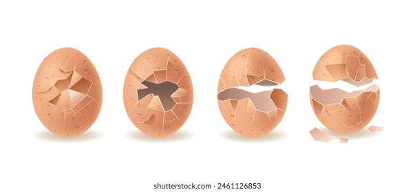 Sequence Showing An Eggshell Cracking From Completely Intact To Entirely Broken. Stages Display Increasing Damage