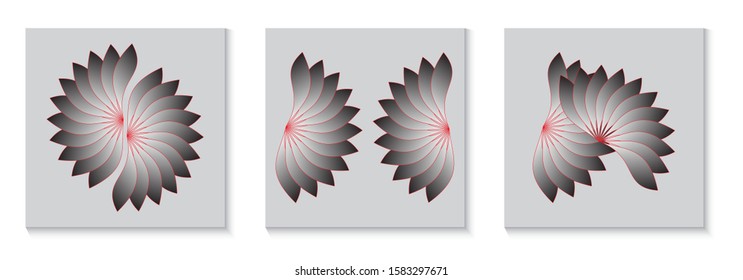 sequence of two flowers fans illustrations in silver red shades