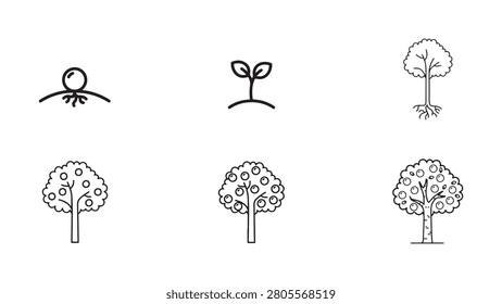 Sequential line art icons illustrating the complete growth cycle of a plant from a tiny seed to a mature fruit-bearing tree.