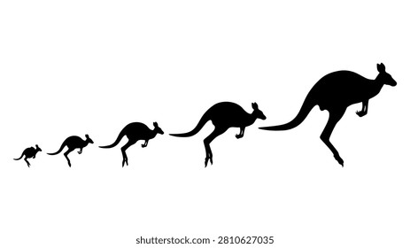 Sequential silhouettes illustrating the growth stages of a kangaroo from juvenile to adult in black color.