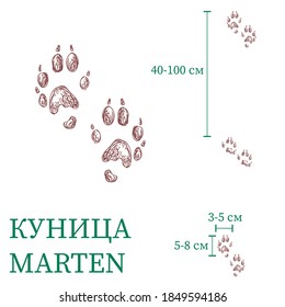 sequin marks. size of the sequin marks. vector image of the paws of the animals. 
traces of animals.  A track of animal footprints for clothes, backgrounds, children’s products, postcards, prints, fab
