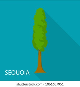 Sequoia icon. Flat illustration of sequoia vector icon for web