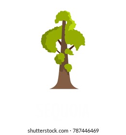 Sequoia icon. Flat illustration of sequoia vector icon isolated on white background