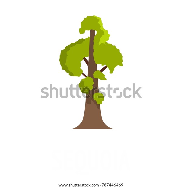 Sequoia icon. Flat illustration of sequoia\
vector icon isolated on white\
background