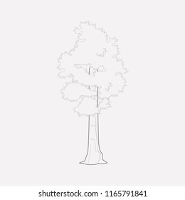 Elemento de línea de icono de secuencia. Ilustración vectorial de la línea de iconos secuoia aislada en fondo limpio para el diseño del logotipo de la aplicación móvil web.