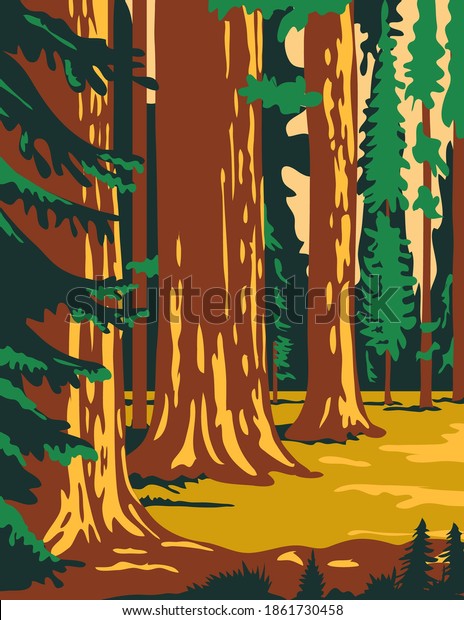 Sequoia and Kings Canyon National Park\
in Sierra Nevada California United States Poster Art\
