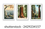 Sequoia Kings Canyon. Sequoia. Shenandoah, National Park - Vintage travel poster. Vector illustration. High quality prints