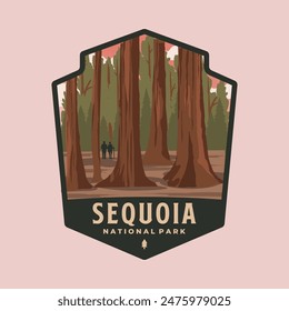 sequoia national park patch logo vector symbol illustration design, california landmark in badge emblem patch style