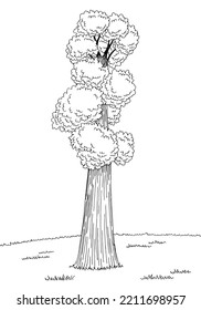 Sequoia tree graphic black white landscape sketch vertical illustration vector 