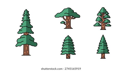Sequoia tree Line creative modern color illustration