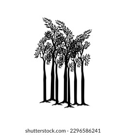 Sequoia trees illustration. giant sequoia; also known as giant redwood, Sierra redwood, Sierran redwood, Wellingtonia or simply big tree. Various shapes. Vector.