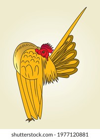 Serama - a bantam breed of chicken originating in Malaysia. Vector design