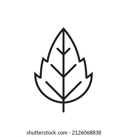 seratted leaf line icon. eco, botanical and nature symbol. isolated vector image in simple style