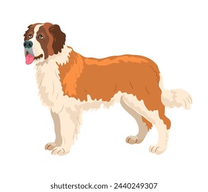 Serbernar dog. Vector illustration on white background