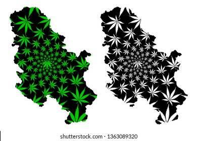 Serbia - map is designed cannabis leaf green and black, Republic of Serbia map made of marijuana (marihuana,THC) foliage,