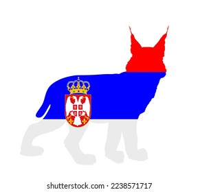 Serbian flag over lynx vector silhouette illustration isolated on white background. Bobcat Serbia patriot emblem national animal. Wild cat symbol. Nature wildlife invite to outdoor travel and tourism.