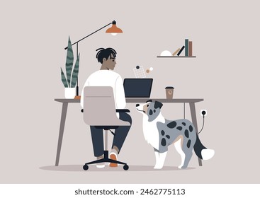 A Serene Afternoon in the Home Office With a Loyal Border Collie, A person works at a desk accompanied by a dog seeking for attention