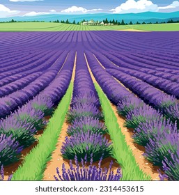 Una experiencia serena.La belleza encantadora de los campos de lavanda