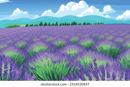 Una experiencia serena.La belleza encantadora de los campos de lavanda