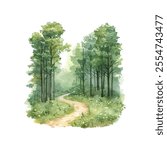 serene forest path vector illustration in watercolor style