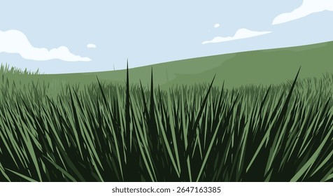 Serene Meadow Under a Cloudy Sky with Tall Grass