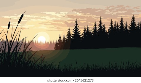 Serene Sunrise Over a Grassy Field and Pine Forest