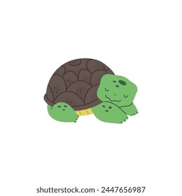 A serene turtle resting, captured in a minimalist vector illustration, ideal for educational and environmental materials.