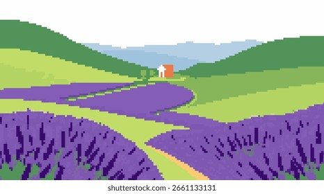 Uma vista serena dos campos de lavanda em torno de uma casa pitoresca.