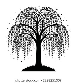 A serene weeping willow tree stands alone with drooping branches and leaves on a clean white background, evoking a sense of calm and tranquility in nature.