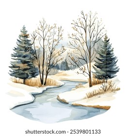 Serene winter landscape vector illustration.Tranquil, snow-covered scene with a winding stream partially frozen, flowing through the center. Large evergreen trees and ash trees. Vector illustration 