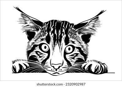 Serengeti cat enchants with a curious peek, revealing its captivating gaze and charming nature. A delightful blend of elegance and playfulness