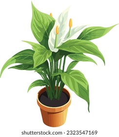 Serenity Blooms: Peace Lily in Pot - Indoor Beauty