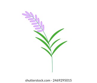 serenity flowers branch on transparent background, 