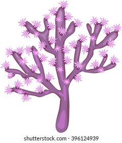 Seriatopora 