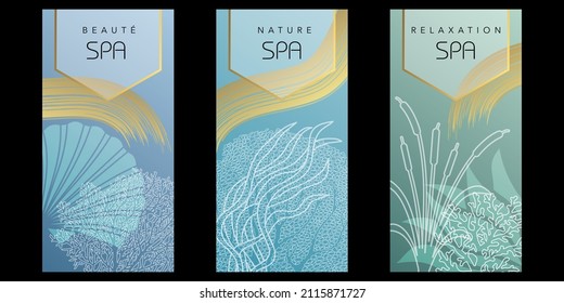 Series of 3 flyers for a spa establishment with an aquatic atmosphere graphic in soft blue and gold colors. 