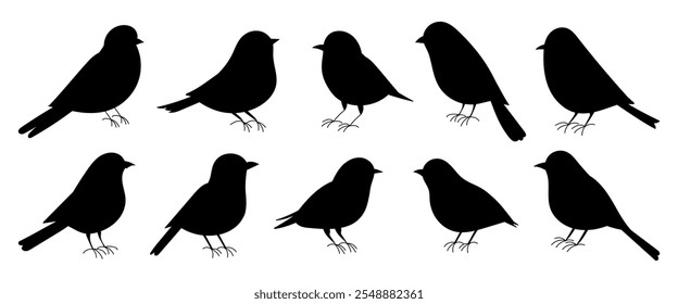 A series of black and white birds are shown in various poses. The birds are all different sizes and are arranged in a row. Concept of calm and serenity, as the birds are depicted in a peaceful