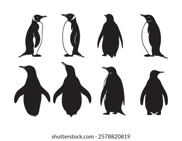 A series of black and white penguins are shown in various poses