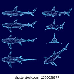 Series of blue drawings of sharks. The drawings are all different sizes and angles, but they all have the same basic shape and features. The mood of the images is calm and serene