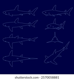 Series of blue drawings of sharks. The drawings are all different sizes and angles, but they all have the same basic shape. The mood of the images is calm and serene