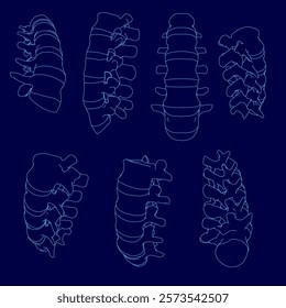 Series of blue drawings of the spine. The spine is shown in different positions and angles. The drawings are all in blue