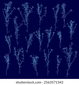 Series of blue flowers are shown in various stages of growth. The flowers are arranged in a grid pattern, with some overlapping and others standing alone