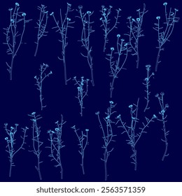 Series of blue flowers are shown in various stages of growth. The flowers are all different sizes and shapes, and some are more developed than others. Scene is one of growth and beauty