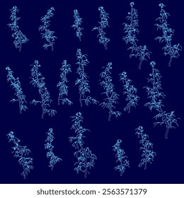 Series of blue images of plants. The plants are all different sizes and shapes, but they all have a similar blue and white color scheme. The images are arranged in a grid, with each row